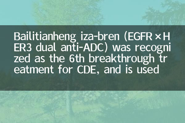 Bailitianheng Iza-Bren (EGFR × HER3 दोहरी एंटी-ADC) को CDE के लिए 6 वीं सफलता उपचार के रूप में मान्यता दी गई थी, और इसका उपयोग प्लैटिनम-प्रतिरोधी आवर्तक डिम्बग्रंथि कैंसर, आदि के लिए किया जाता है।
